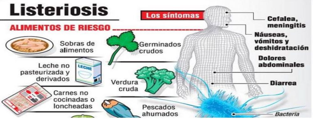 DETALLE NOTICIA ACQUA VIDA